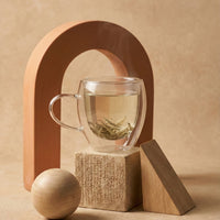 Double Wall Glass Cup