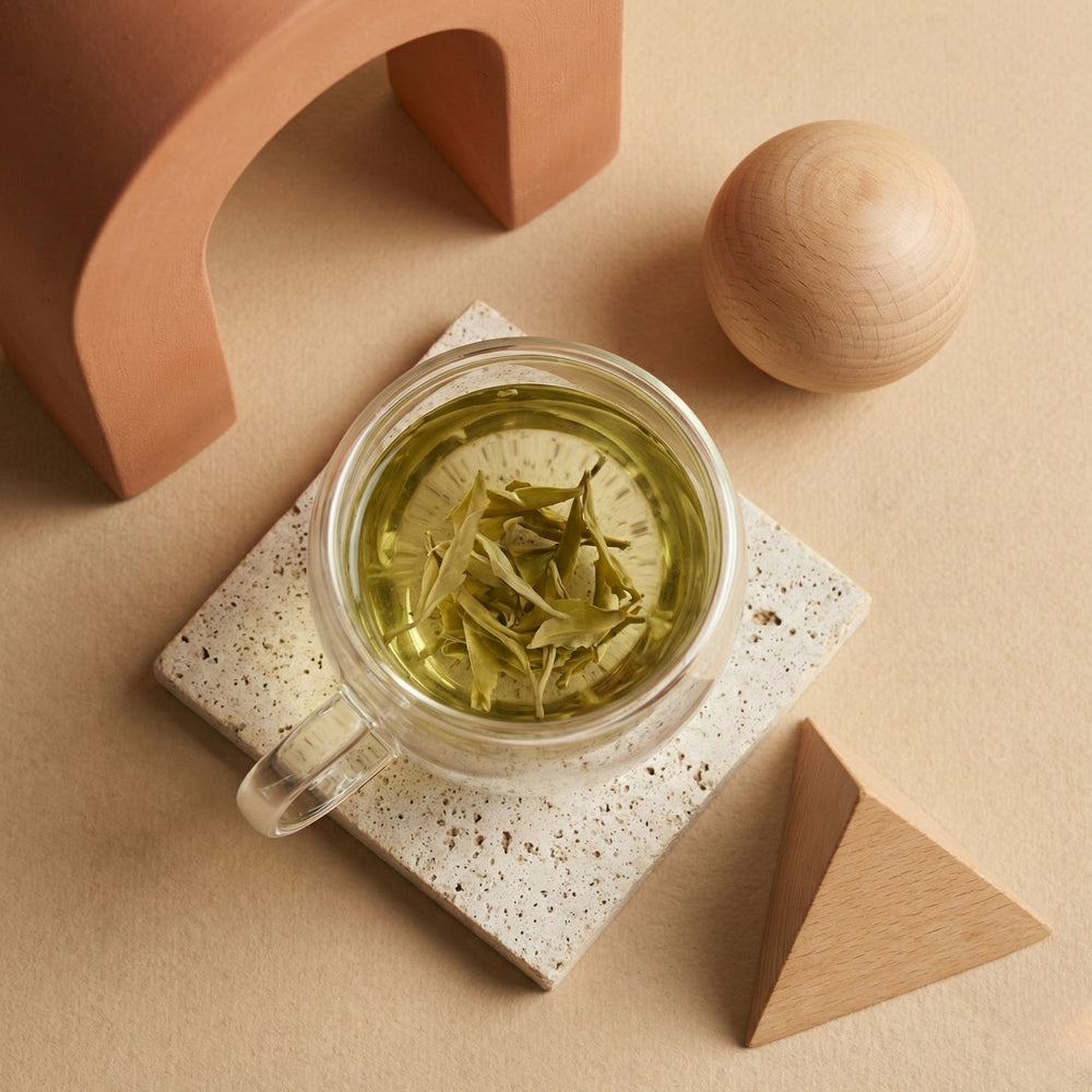 Double Wall Glass Cup